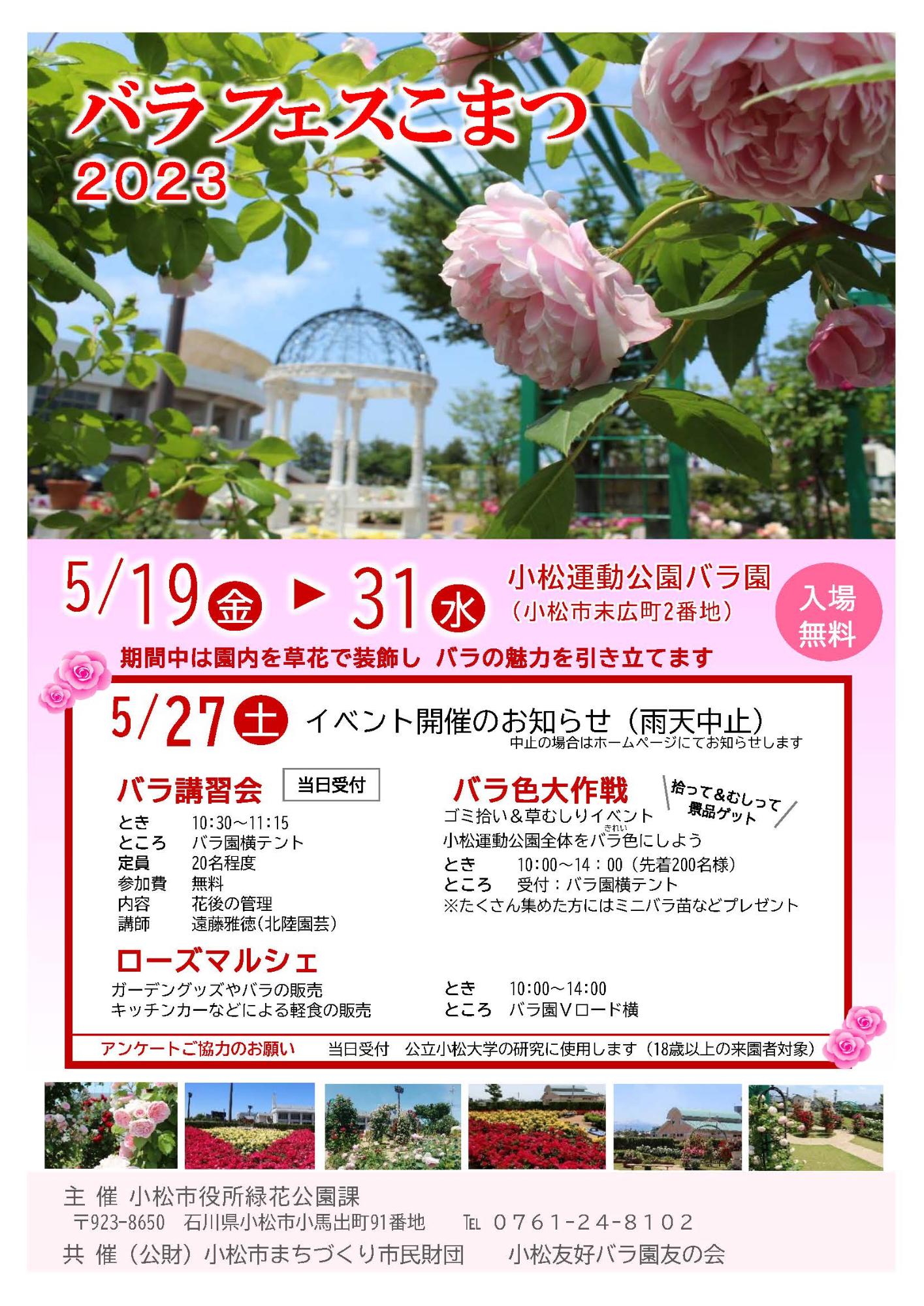 【5/19(金)~5/31(水)】バラフェスこまつ@小松運動公園バラ園