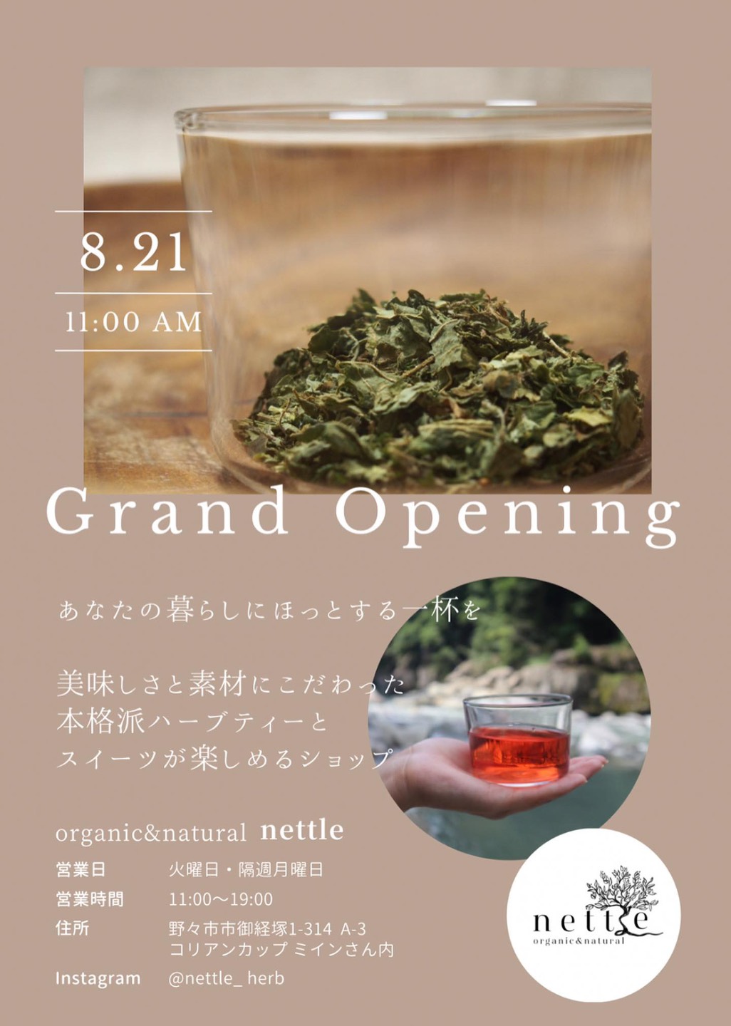 【8/21(月)】ハーブティー&スイーツ「nettle -ネトル-」が野々市にオープン！