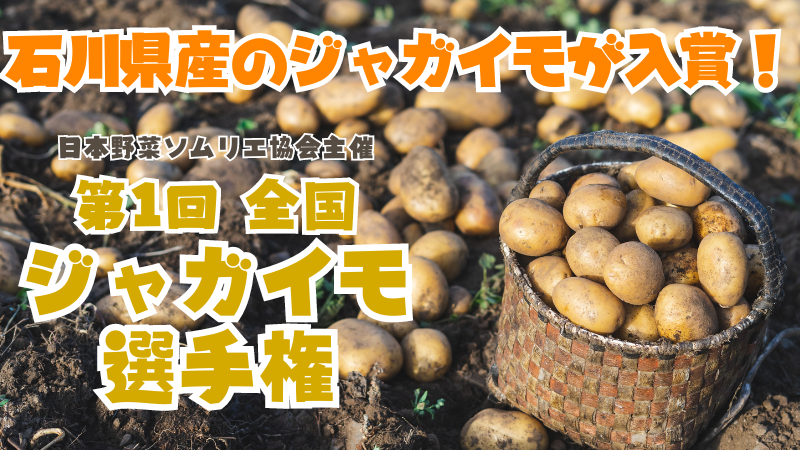 加賀市山中温泉のジャガイモが入賞！第1回全国ジャガイモ選手権