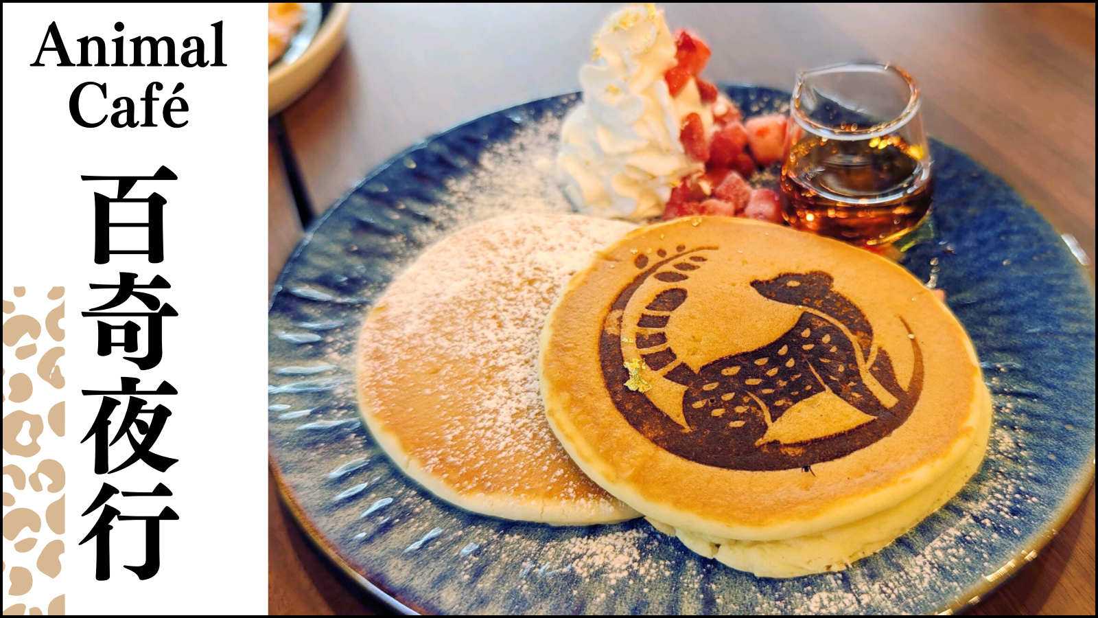 ☆レポ付き【4/29(月)】「Animal Café 百奇夜行」@金沢市~生き物達に 