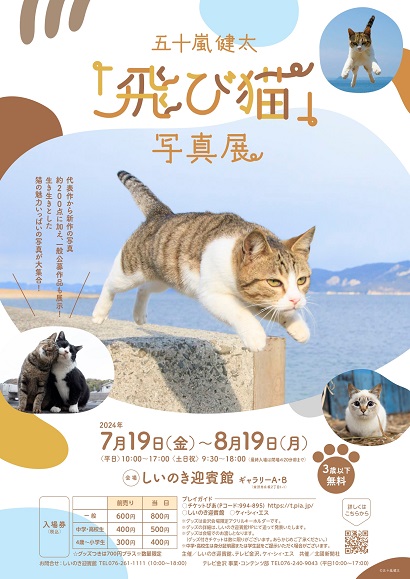 【7/19(金)~8/19(月)】五十嵐健太「飛び猫」写真展＠しいのき迎賓館~生き生きとした猫の魅力いっぱいの写真が大集合！~