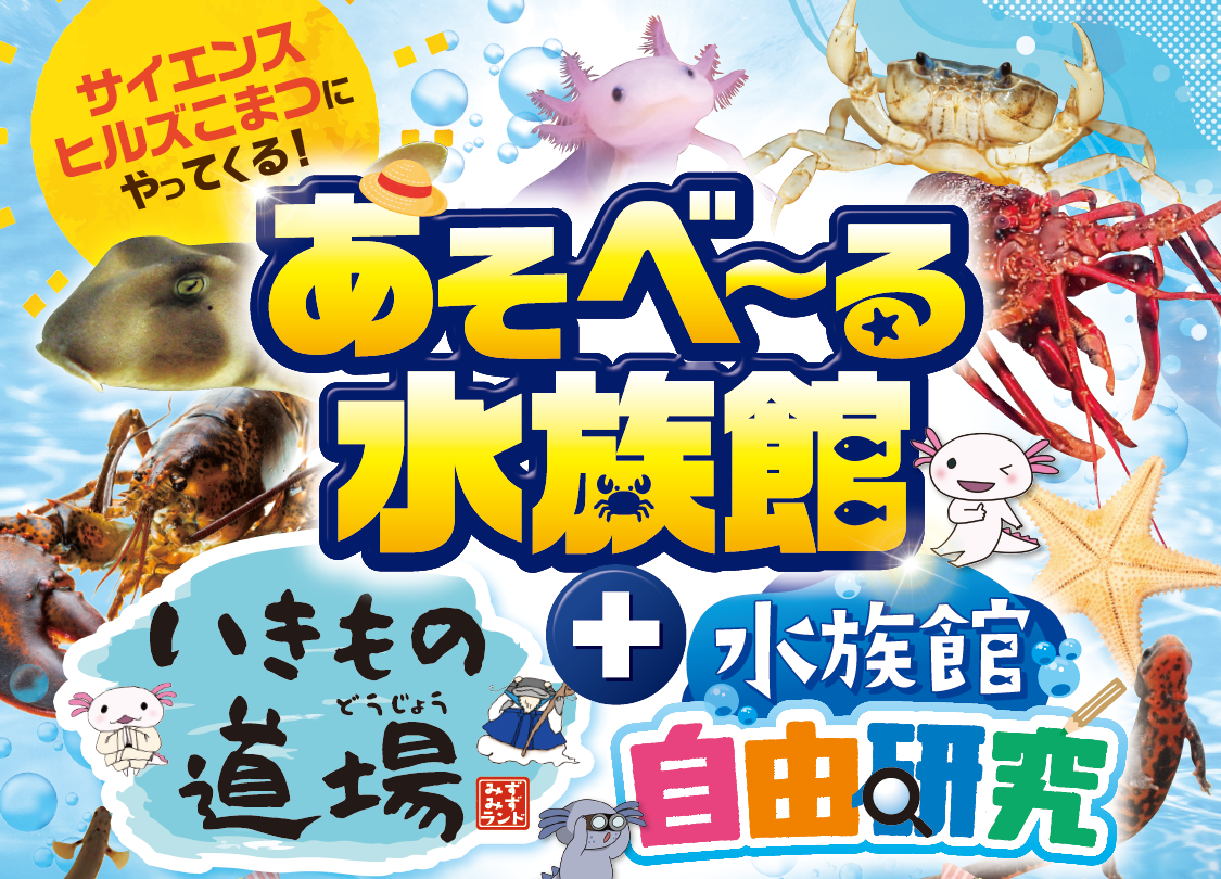 【8/10(土)〜8/16(金)】あそべ〜る水族館＆いきもの道場＆水族館自由研究@サイエンスヒルズこまつ