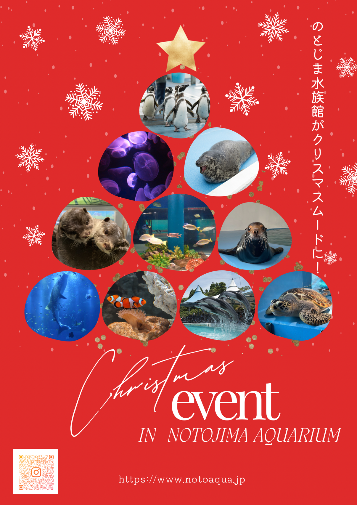 【12/20(土)~12/25(木)】のとじま水族館 クリスマスイベント@のとじま水族館