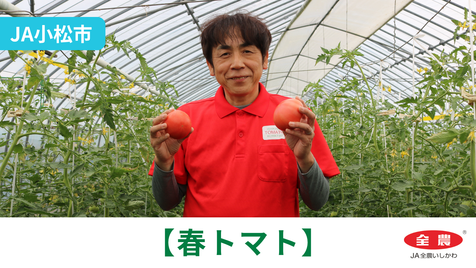 【5/8(金)】「春トマト」初出荷@JA小松市【JA全農いしかわ】