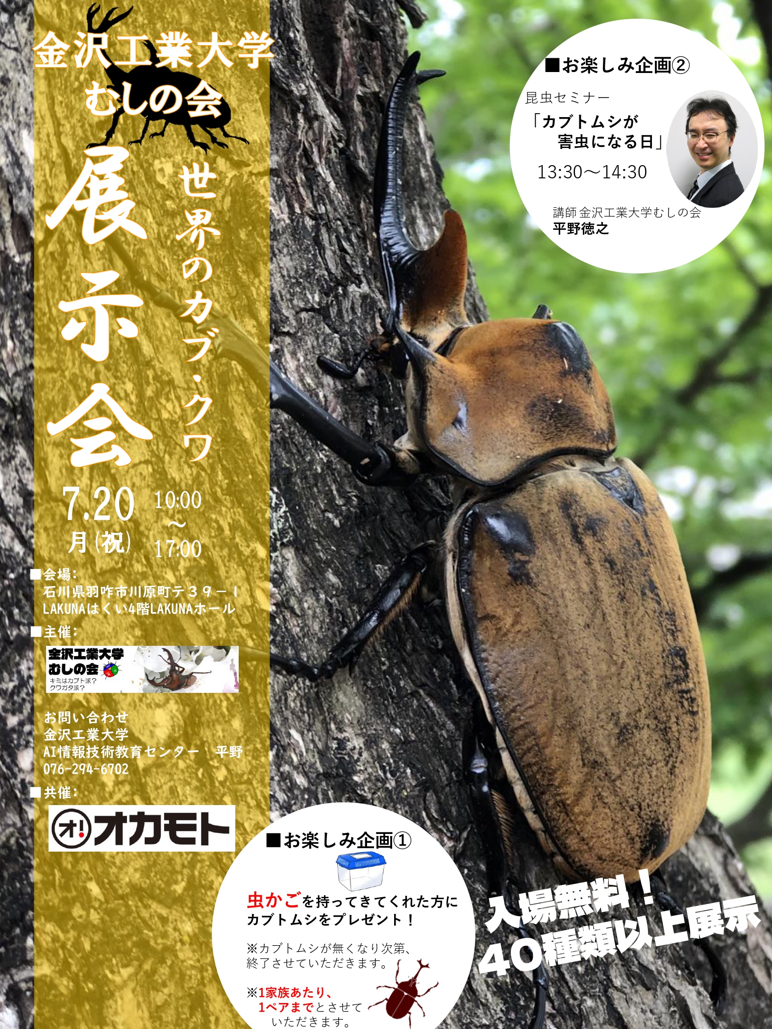 【7/20(月)】世界のカブトムシ クワガタムシ展示会@羽咋市