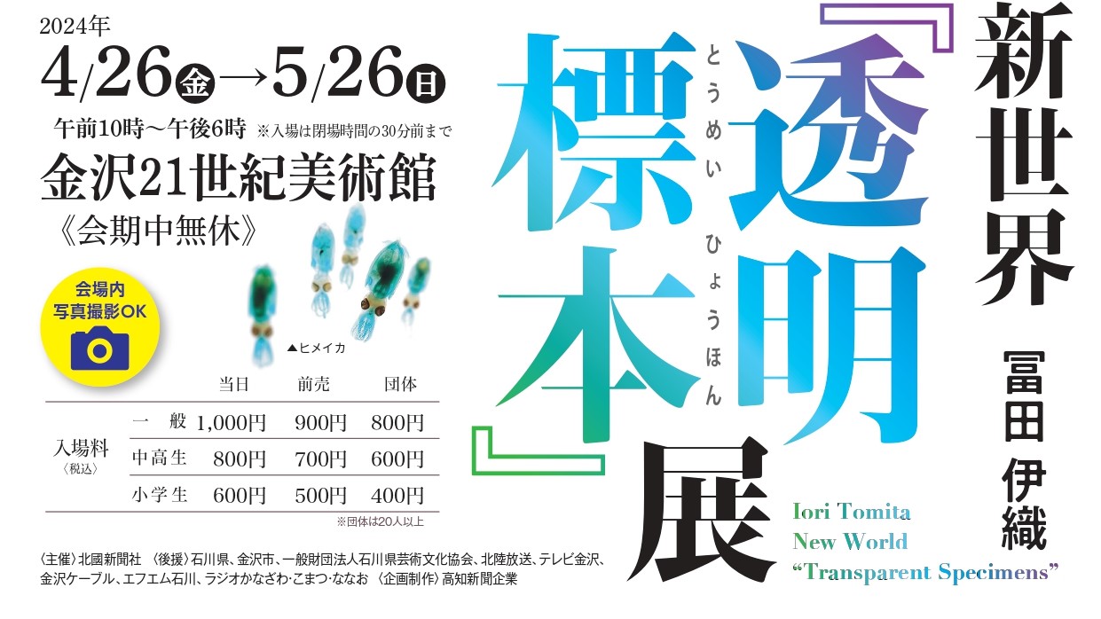 【4/26(金)~5/26(日)】冨田伊織 新世界『透明標本』展@金沢市