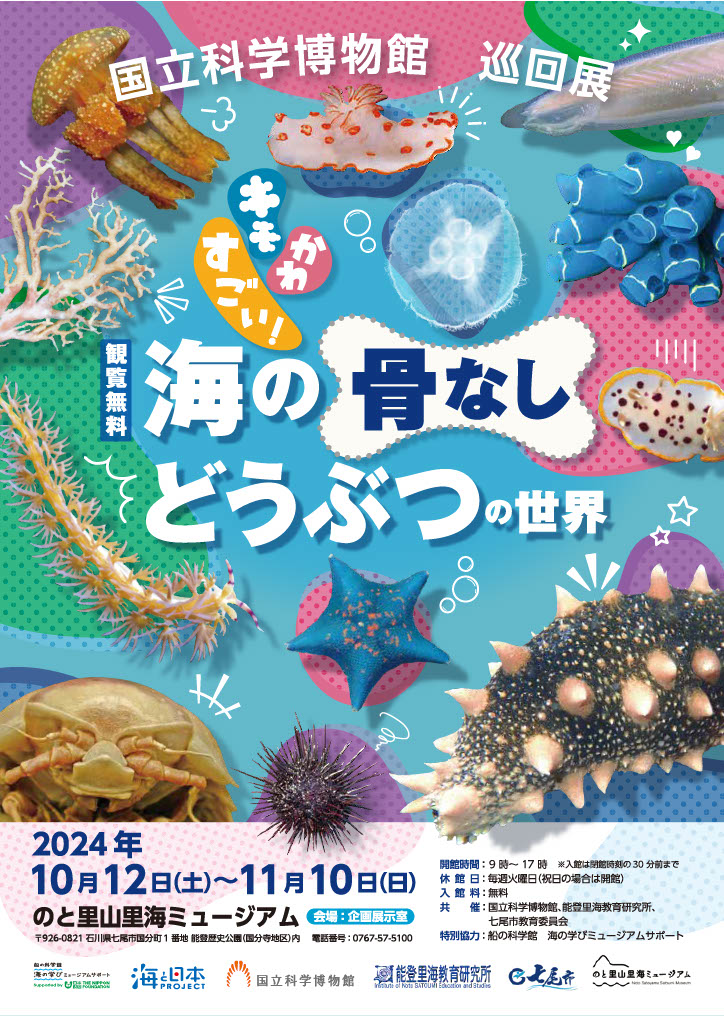 【10/12(土)~11/10(日)】キモかわすごい！海の骨なしどうぶつの世界@能登里山ミュージアム~国立科学博物館 巡回展~