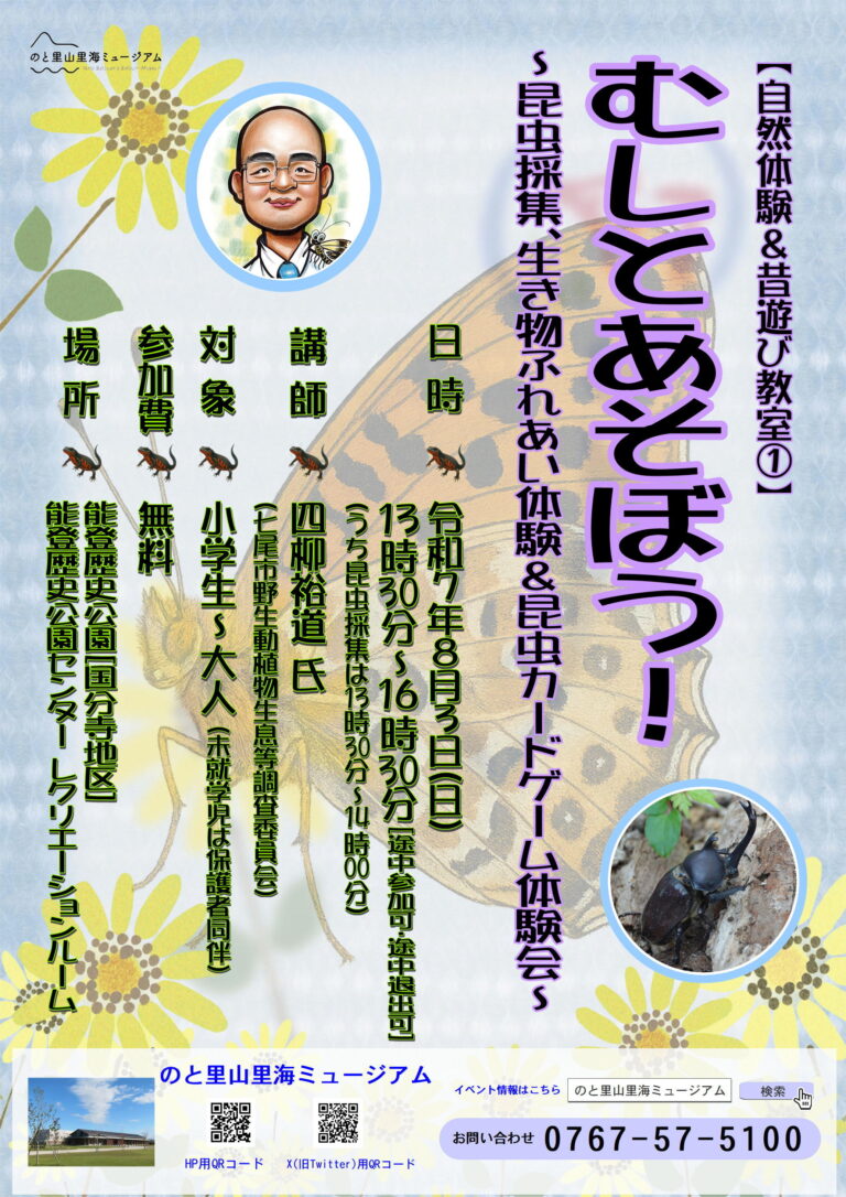 【8/3(日)】里山里海講座「むしとあそぼう!~昆虫採集、生き物ふれあい体験&昆虫カードゲーム体験会~」@七尾市