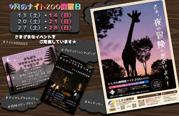 【8/9(土)~9/28(日)】ナイトZOO 2025@いしかわ動物園~9月最後の週末もぜひいしかわ動物園へ~