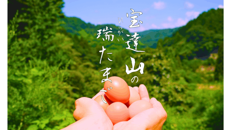 ★現地レポあり【9/6(土)~販売開始】宝達山の平飼い瑞たまご