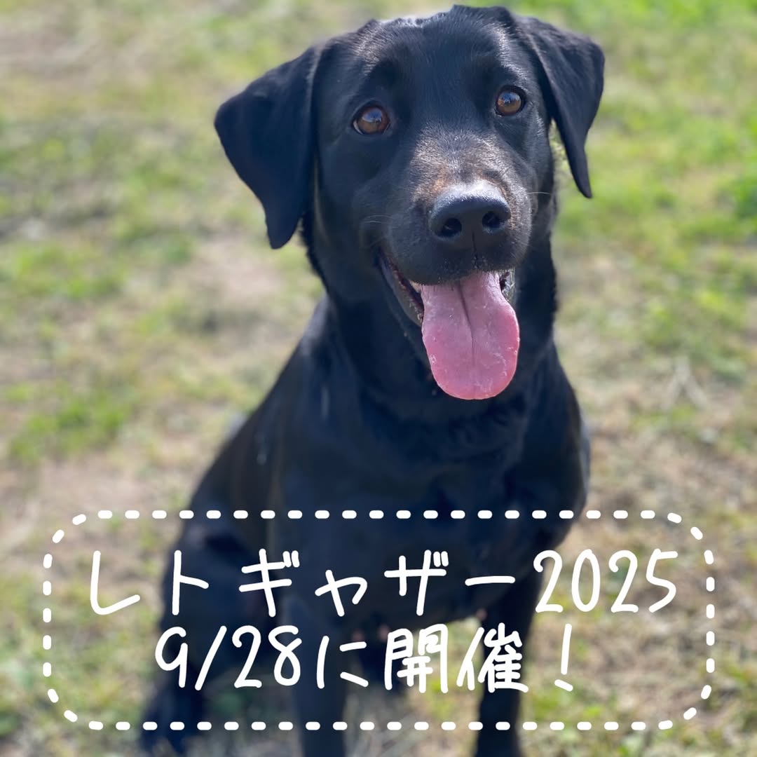 【9/28(日)】スカイラボpresentsレトギャザーin石川！vol.5@かほく市【要申込】