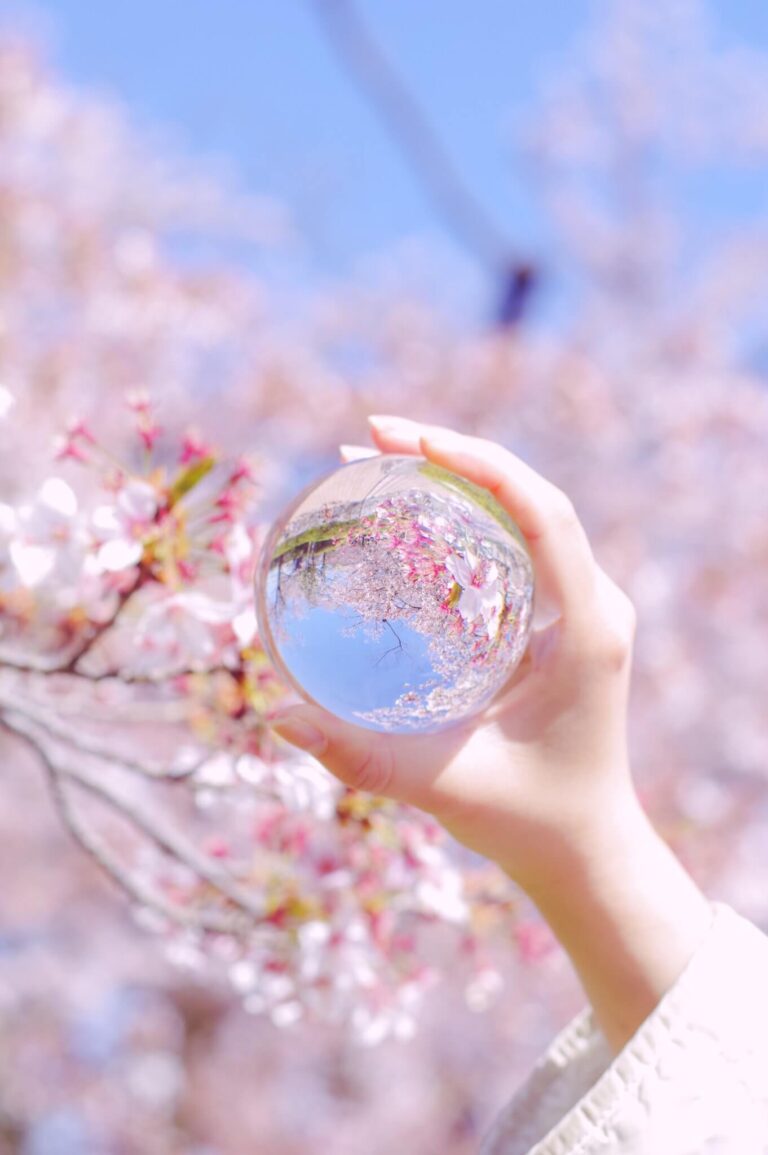 【3/28(土)~4/12(日)】お花見無料開放＠金沢市営陸上競技場