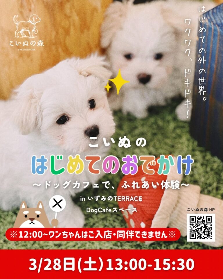 【3/28(土)】こいぬの「はじめてのおでかけ」〜ドッグカフェで、ふれあい体験〜@金沢市