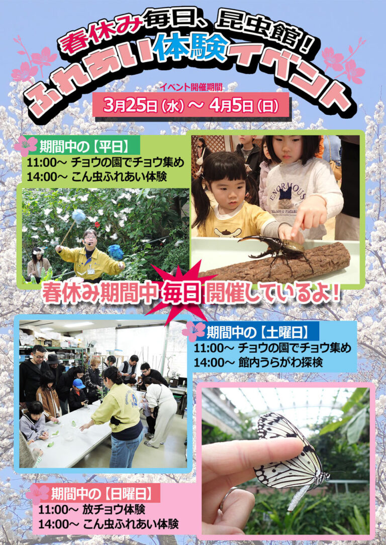 【3/25(水)~4/5(日)】春休み毎日、昆虫館！ふれあい体験イベント @石川県ふれあい昆虫館