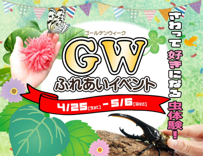 【4/25(土)~5/6(水・振休)】GWふれあいイベント@石川県ふれあい昆虫館