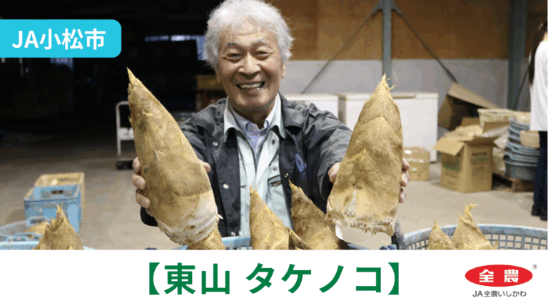 【4/6(月)】「東山タケノコ」初出荷@JA小松市【JA全農いしかわ】