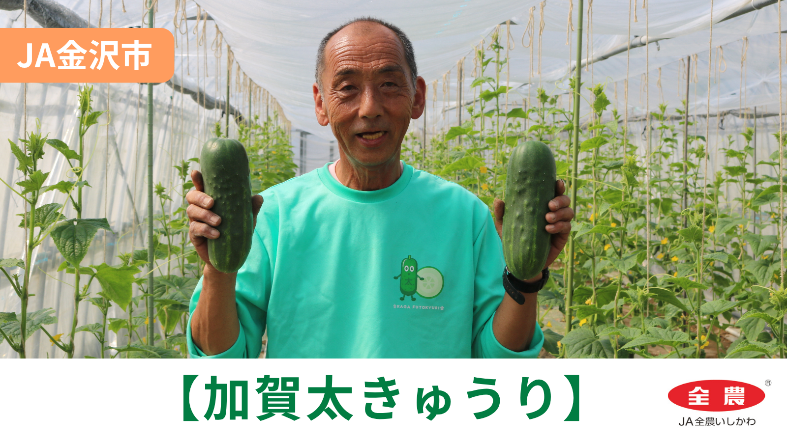 【4/6(月)】「加賀太きゅうり」初出荷@JA金沢市【JA全農いしかわ】