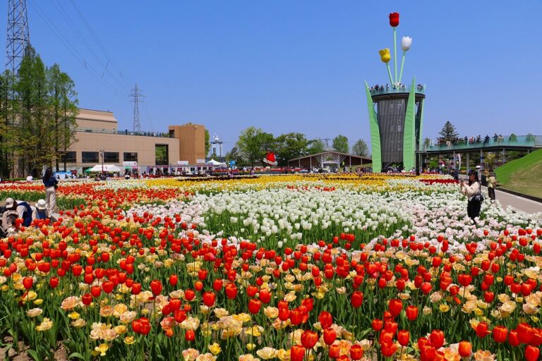 【4/22(水)~5/5(火・祝)】2026となみチューリップフェア@富山県砺波市