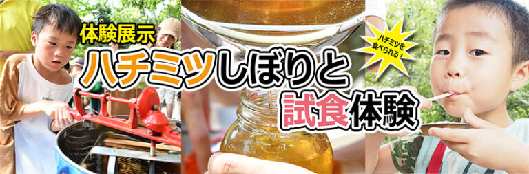 【5/17(日)】ハチミツしぼりと試食体験@石川県ふれあい昆虫館
