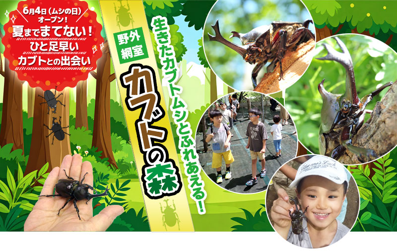 【6/4(木)~8/16(日)】野外網室『カブトの森』@石川県ふれあい昆虫館