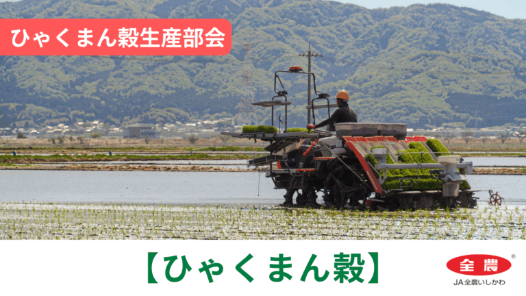 【5/2(土)】「ひゃくまん穀」田植えスタート@ひゃくまん穀生産部会【JA全農いしかわ】