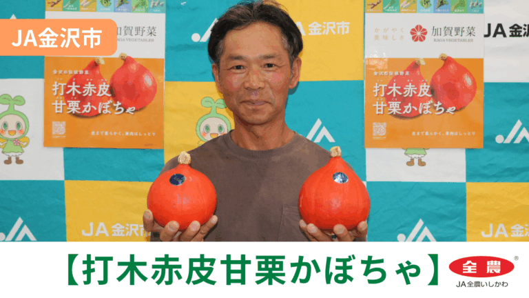 【6/1(月)】「打木赤皮甘栗かぼちゃ」初出荷@JA金沢市【JA全農いしかわ】
