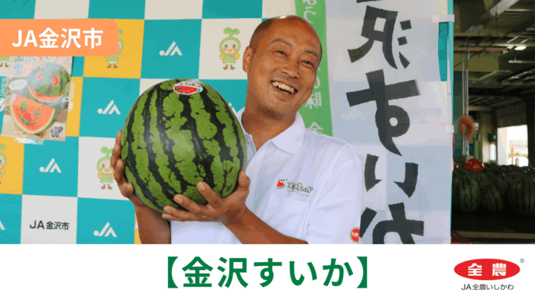 【6/4(木)】「金沢すいか」初出荷@JA金沢市【JA全農いしかわ】