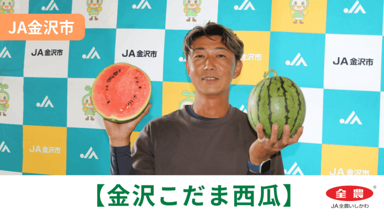 【6/4(木)】「金沢こだま西瓜」初出荷@JA金沢市【JA全農いしかわ】