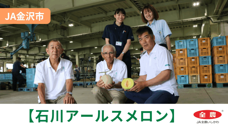 【6/29(月)】「石川アールスメロン」初出荷@JA金沢市【JA全農いしかわ】