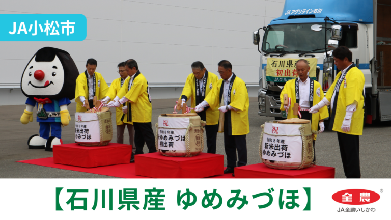 【8/21(金)】「石川県産 ゆめみづほ」初出荷@JA小松市【JA全農いしかわ】