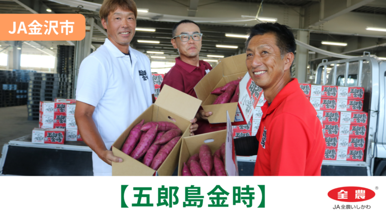 【8/21(金)】「五郎島金時」初出荷@JA金沢市【JA全農いしかわ】