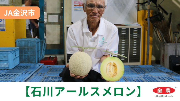 【9/3(木)】「石川アールスメロン」初出荷@JA金沢市【JA全農いしかわ】