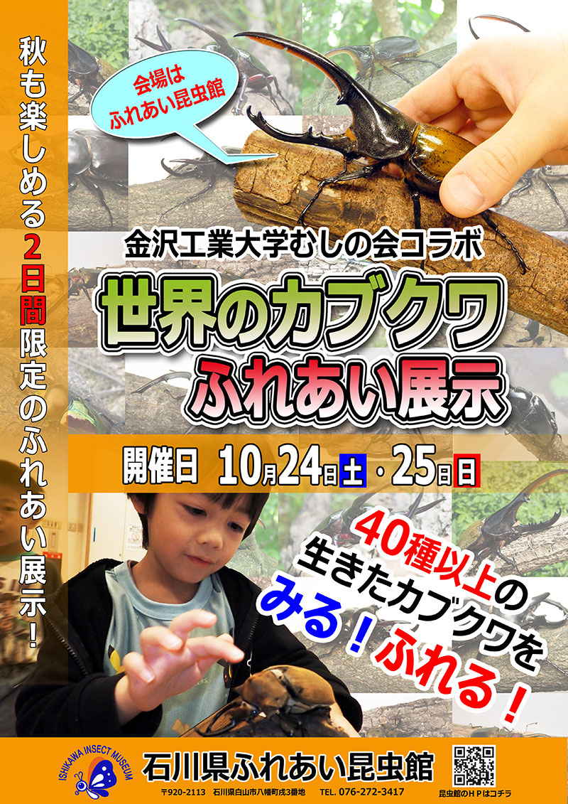 【10/24(土),10/25(日)】KITむしの会 in 昆虫館「世界のカブクワふれあい展示」@石川県ふれあい昆虫館