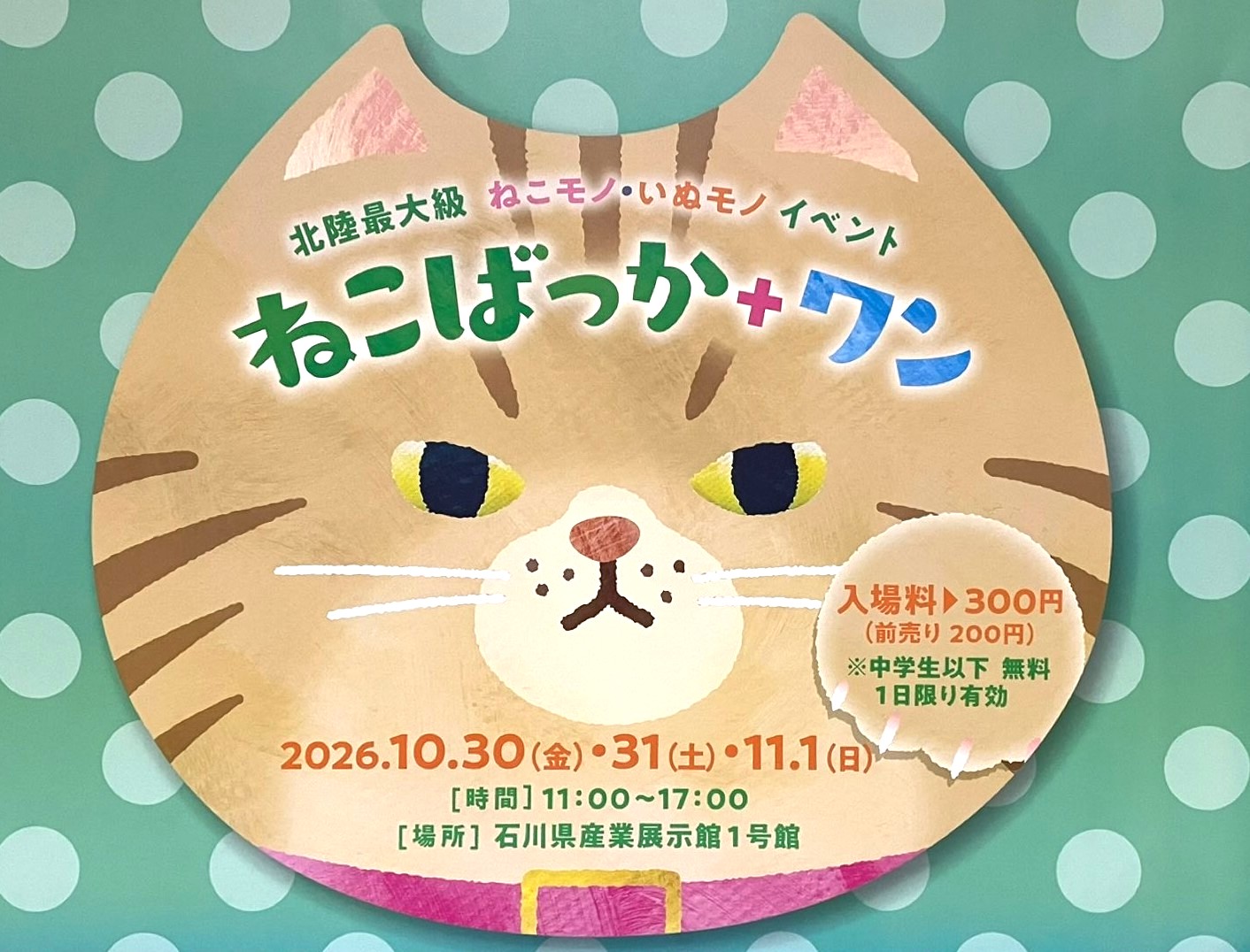 【10/30(金)～11/1(日)】ねこばっか＋ワン vol.11@石川県産業展示館1号館【要申込】
